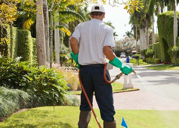 About Wakefield MA Pest Control Pros